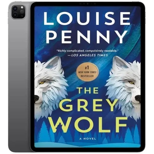 دانلود نسخه کامل کتاب انگلیسی The Grey Wolf 2024 | رمان انگلیسی | کتاب PDF خارجی