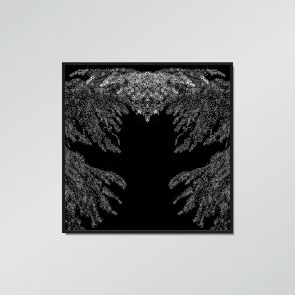 تابلوعکس Untitled 07
