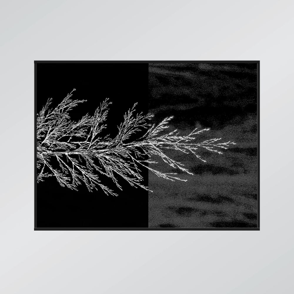 تابلوعکس Untitled 06