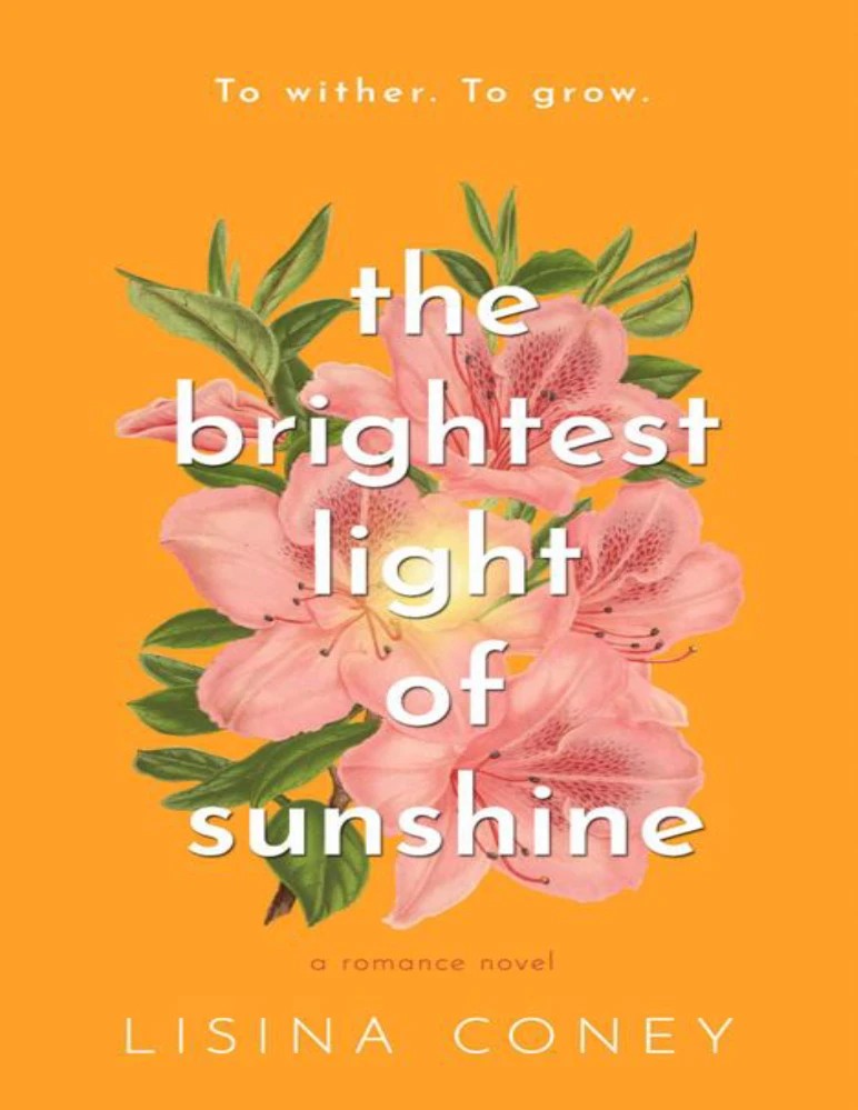 رمان The Brightest Light of Sunshine (درخشان‌ترین نور خورشید) نسخه انگلیسی PDF | لیزینا کانی