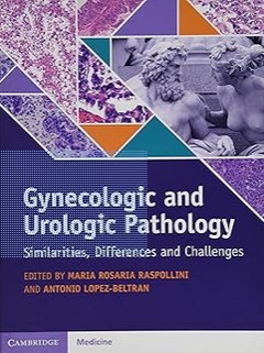 Gynecologic and Urologic Pathology: Similarities, Differences and Challenges 1st Edition