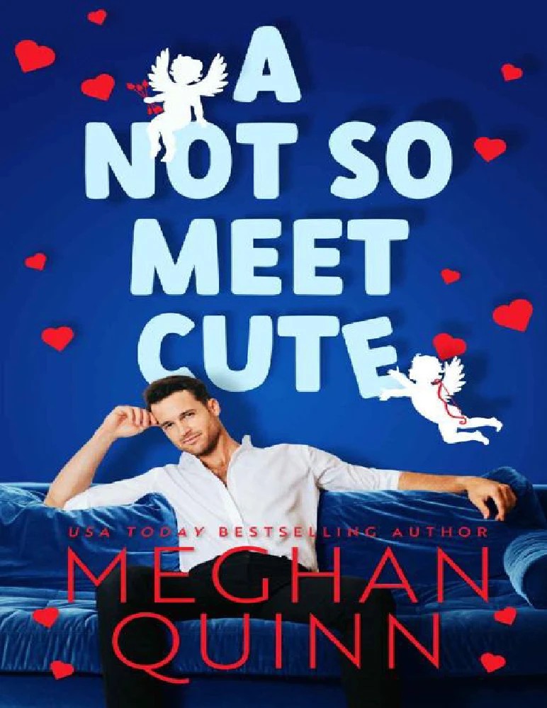 کتاب A Not So Meet Cute (یک ملاقات عاشقانه نه چندان شیرین) نسخه انگلیسی PDF | مگان کوئین