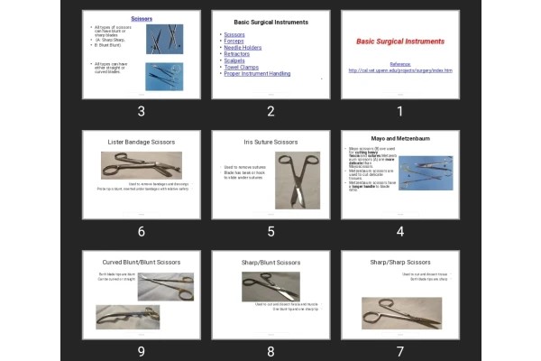پاورپوینت Basic Surgical Instruments
