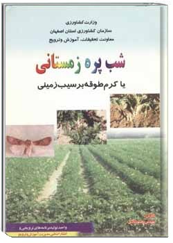 شب پره زمستانی