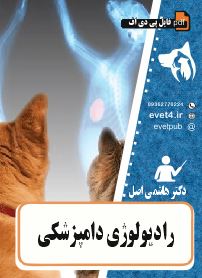 جزوه رادیولوژی دامپزشکی