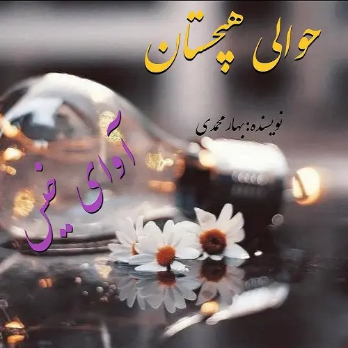 رمان حوالی هیچستان اثر بهار محمدی