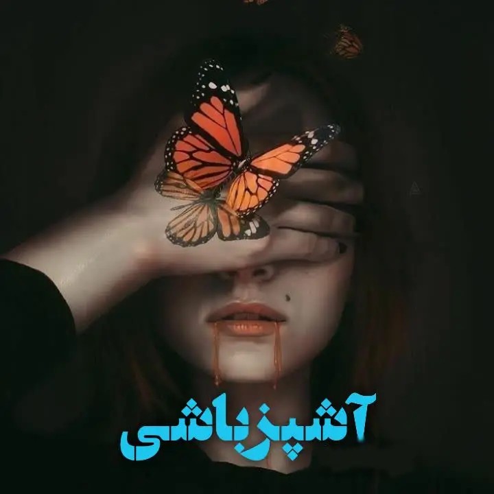 رمان آشپز باشی اثر فاطمه باصری