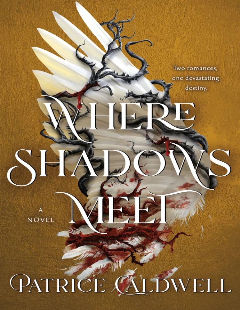 کتاب Where Shadows Meet (جایی که سایه ها ملاقات می کنند) نسخه انگلیسی PDF | پاتریس کالدول