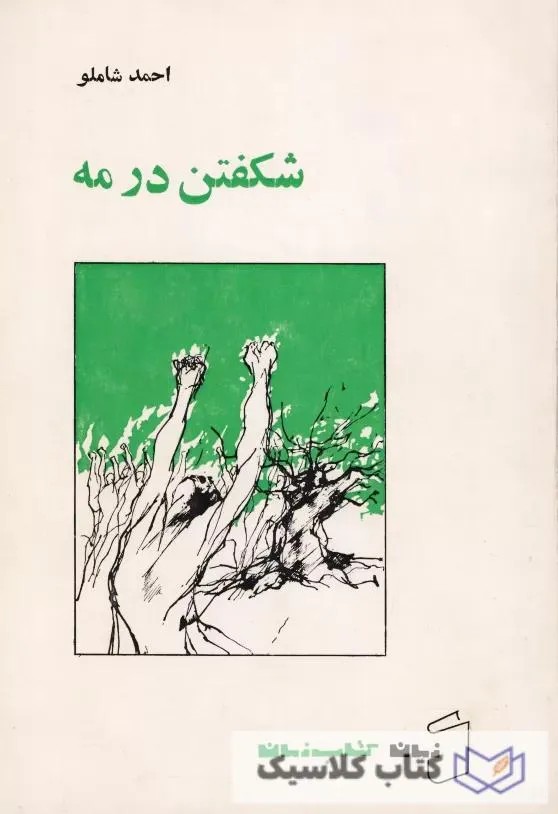 شکفتن در مه