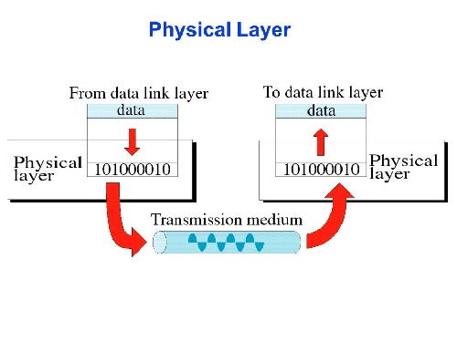 پاورپوینت لایه فیزیکی The Physical Layer - پاورداک