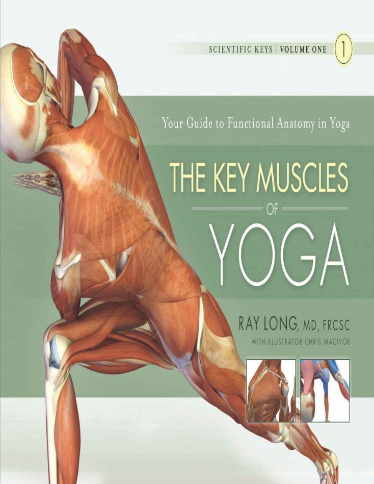 کتاب The Key Muscles of Yoga (عضلات کلیدی یوگا) نسخه انگلیسی PDF | ری لانگ