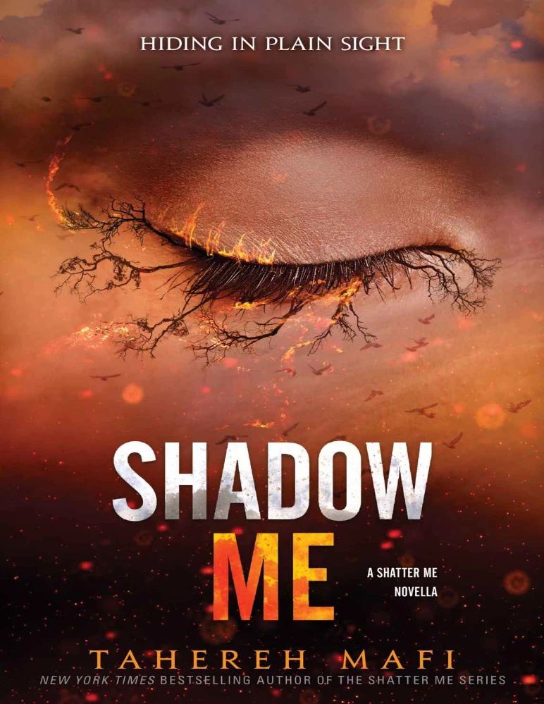 4.5 Shadow Me (سایه‌ام باش) نسخه انگلیسی PDF