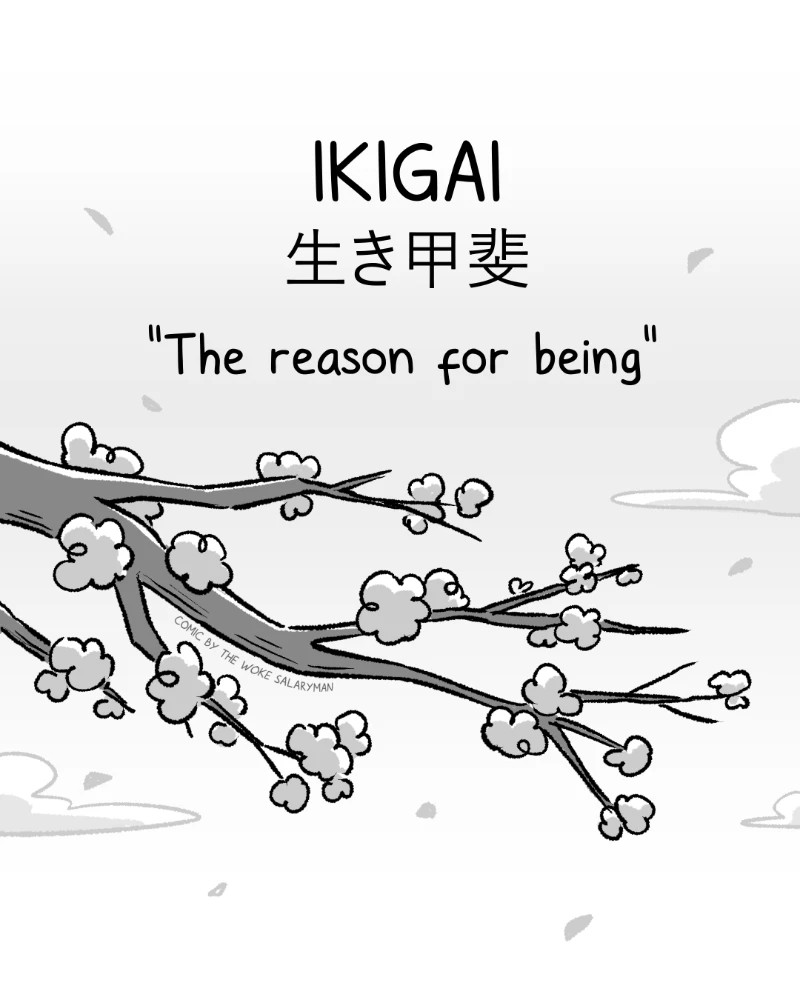 کتاب What is the Japanese Meaning of Ikigai (معنای ژاپنی ایکیگای چیست) نسخه انگلیسی PDF | نامشخص