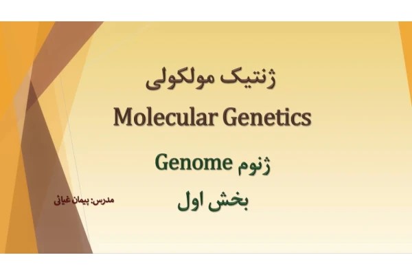 ژنوم ۴ 🔬 نسخه کامل ✅