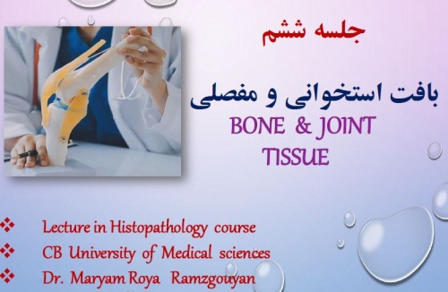 6- بافت شناسی استخوان و مفاصل Bone & Joint Histology - اسمارت فایل