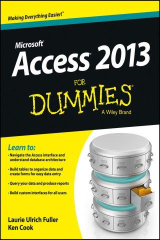 دانلود کتاب اکسس ۲۰۱۳ برای دامیز ۲۰۱۳ Access 2013 For Dummies 2013
