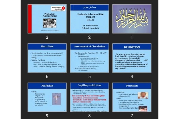 پاورپوینت Pediatric Advanced Life Support (PALS)