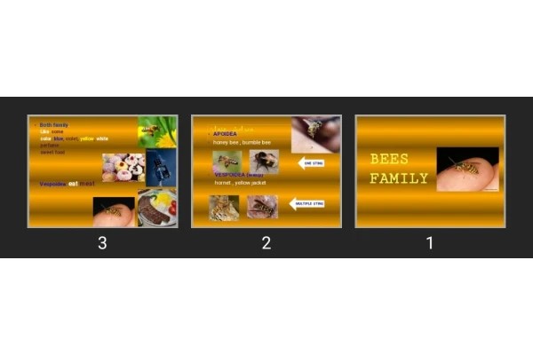 پاورپوینت BEES FAMILY
