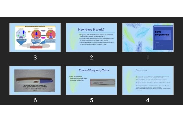 پاورپوینت Home Pregnancy Kit