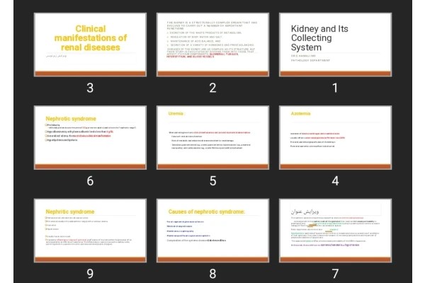 پاورپوینت Kidney and Its Collecting System