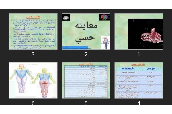 پاورپوینت معاينه حسی