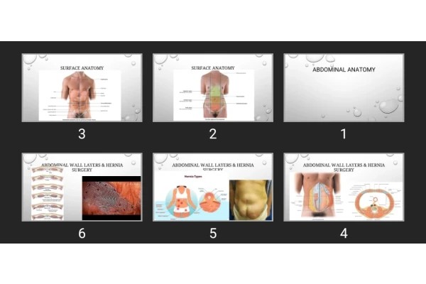پاورپوینت ABDOMINAL ANATOMY