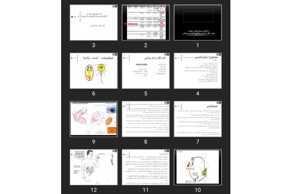 پاورپوینت Medical flagelates