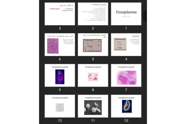 پاورپوینت Toxoplasma