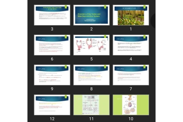 پاورپوینت Disorders of the Testes and Male Reproductive System