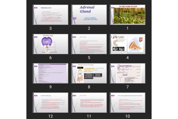 پاورپوینت Adrenal Gland