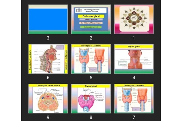 پاورپوینت Endocrine gland Thyroid &amp; parathyroid