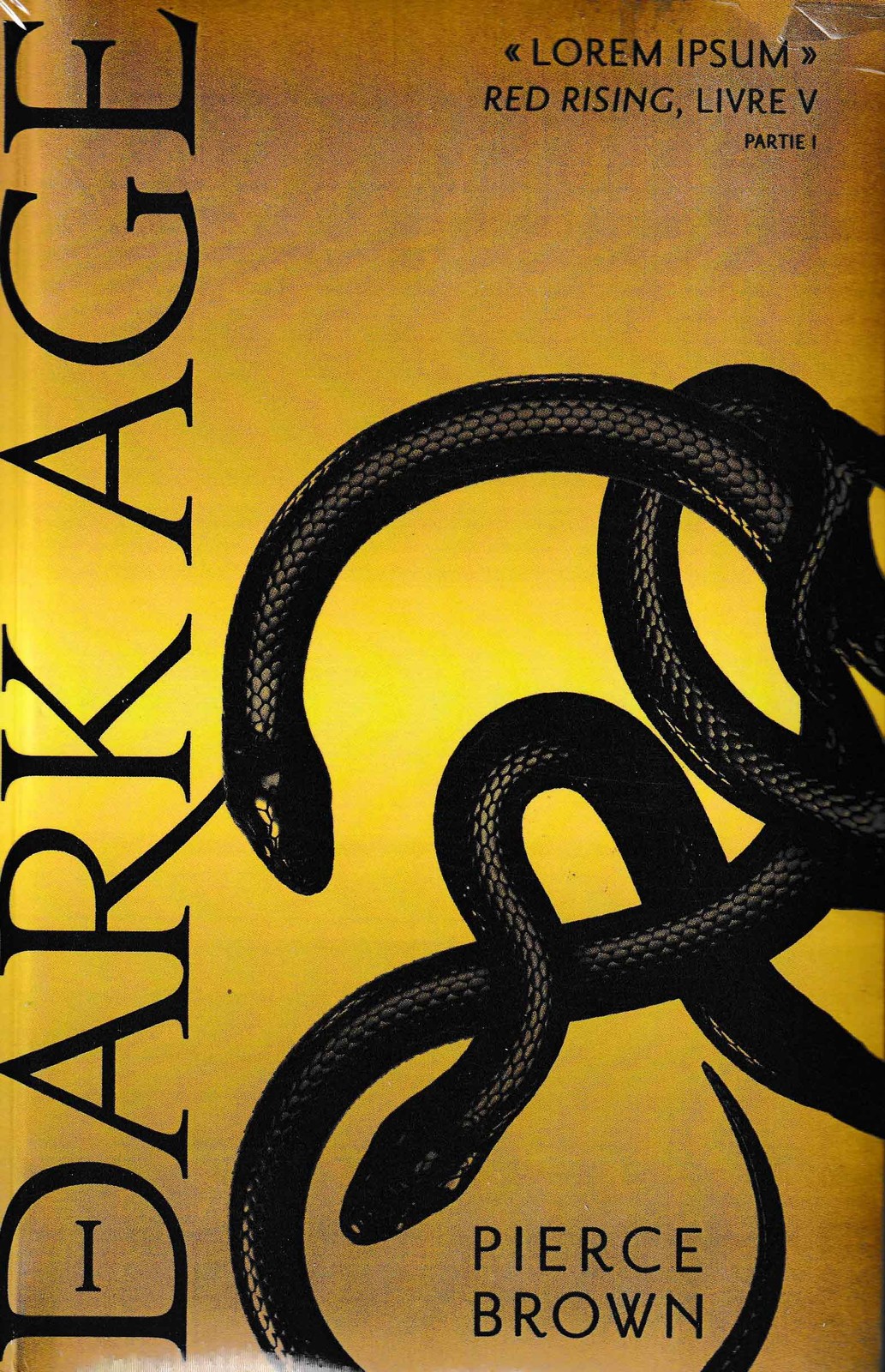 رمان انگلیسی DARK AGE جلد اول-PIERCE BROWN