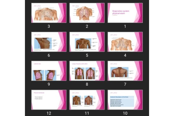 پاورپوینت Respiratory system physical exam