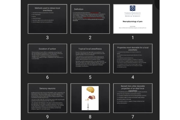پاورپوینت Neurophysiology of pain