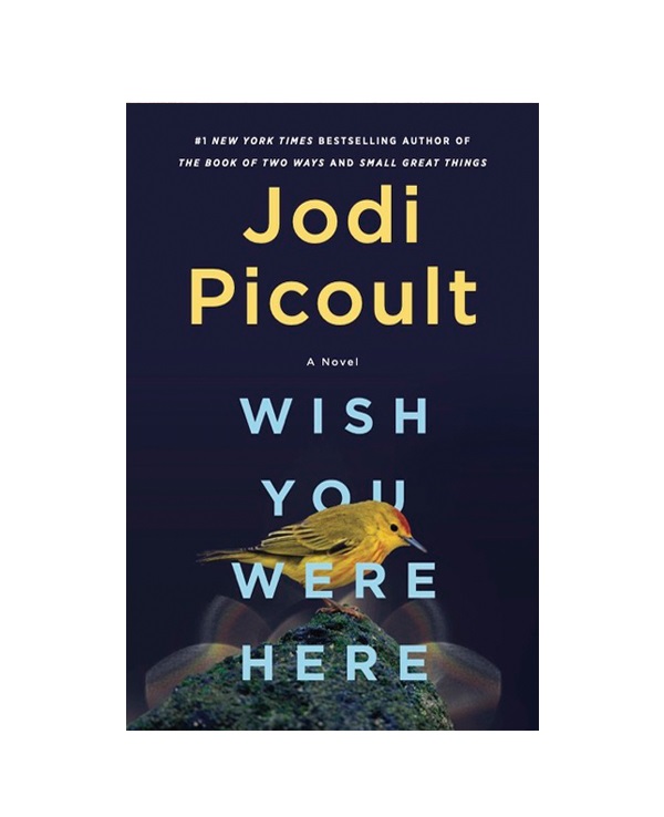 رمان انگلیسی Wish You Were Here اثر Jodi Picoult