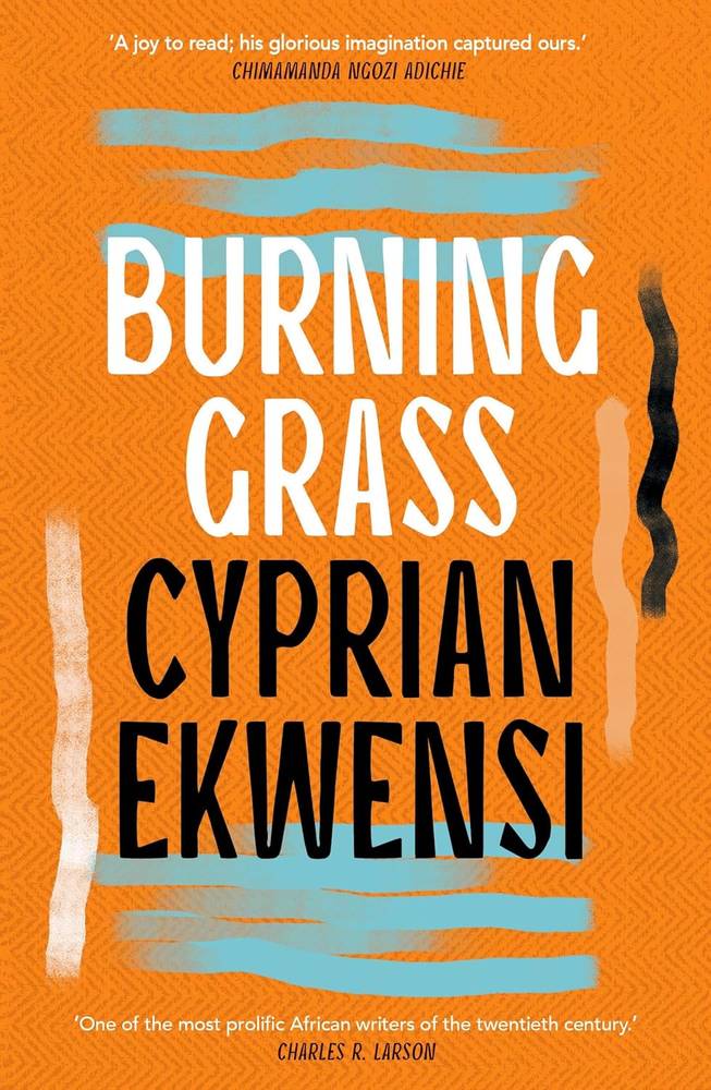 دانلود کتاب Burning Grass