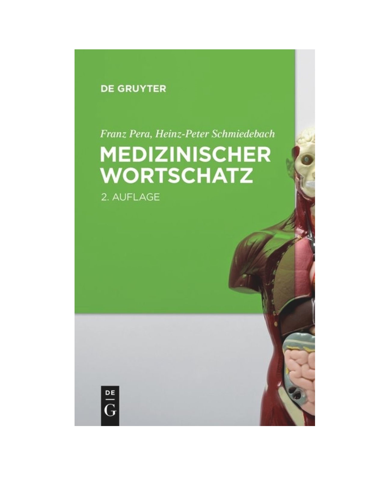 Medizinischer Wortschatz