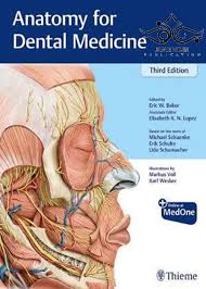 Anatomy for Dental Medicine 3rd