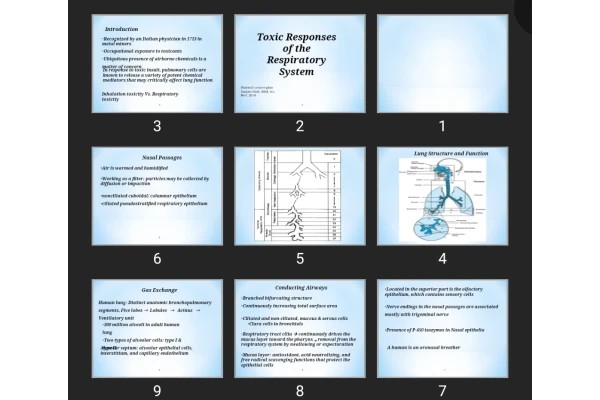 پاورپوینت Toxic Responses of the Respiratory System