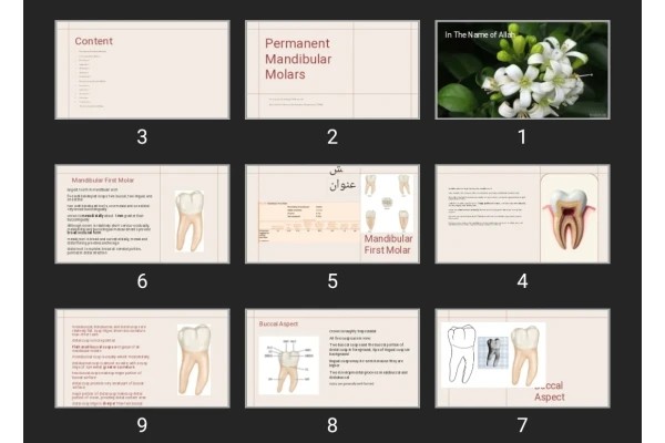 پاورپوینت Permanent Mandibular Molars
