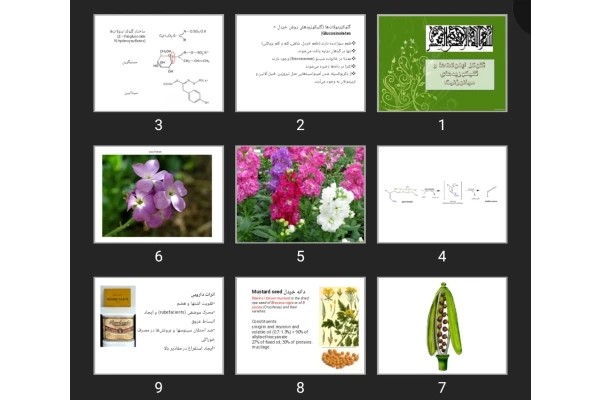 پاورپوینت گلوكز اینولات ها و گلیکوزیدهای سیانوژنیک