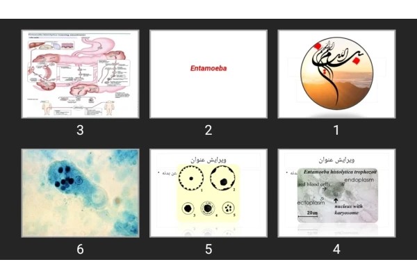 پاورپوینت Amoeba