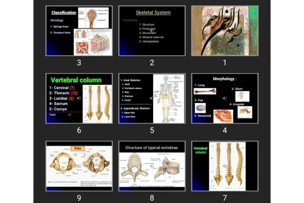 پاورپوینت Chest wall (Bones &amp; cartilages &amp; Joints)
