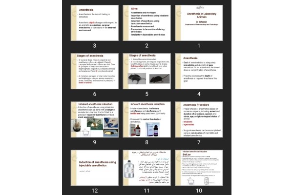 پاورپوینت Anesthesia in Laboratory Animals