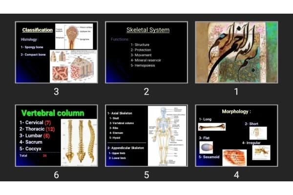 پاورپوینت Chest wall _Bones &amp; cartilages &amp; Joints