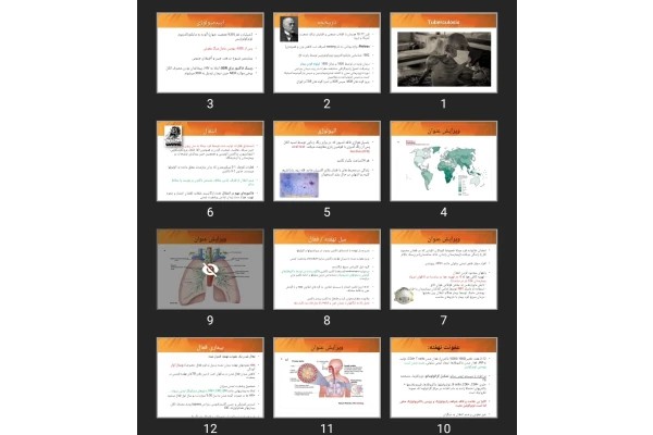 پاورپوینت Tuberculosis