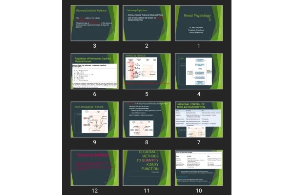 پاورپوینت Renal Physiology 3
