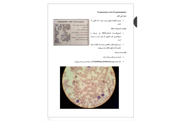 جزوه انگل شناسی عملی ۲