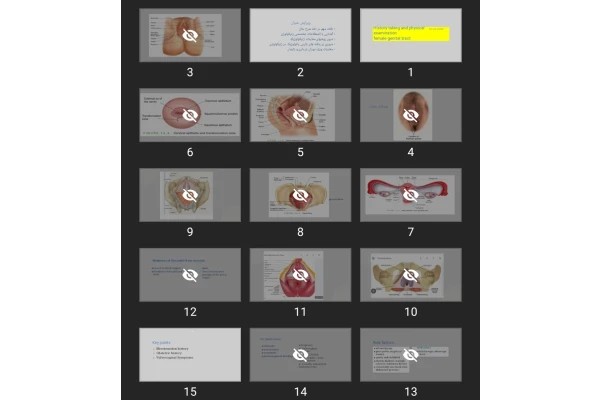 پاورپوینت History taking and physical examination female genital tract