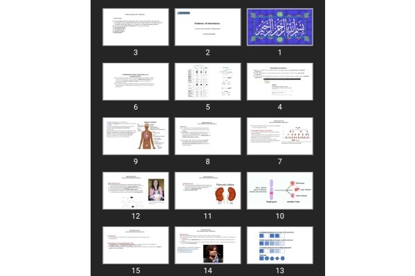 پاورپوینت Patterns of Inheritance